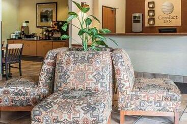 בית מלון כפרי Comfort Inn & Suites Midtown