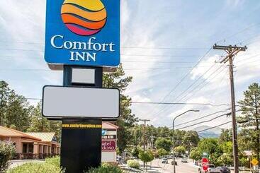 בית מלון כפרי Comfort Inn & Suites Midtown