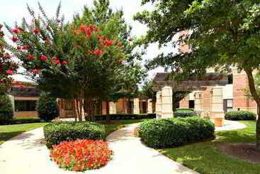 هتل Courtyard Dallas Addison Quorum Drive