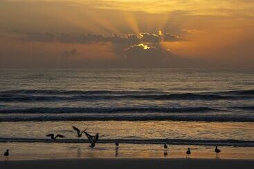 هتل Hilton Daytona Beach Oceanfront Resort