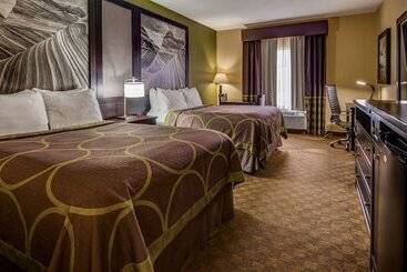 Surestay Plus Hotel By Best Western Alvin