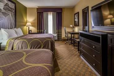 Surestay Plus Hotel By Best Western Alvin