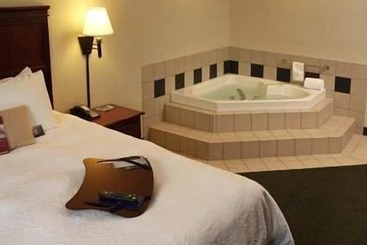 هتل Hampton Inn Ithaca
