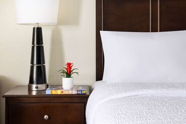 Hampton Inn Naples Central - Naples