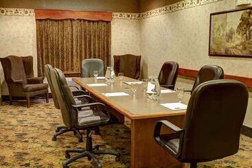 هتل Comfort Inn & Suites Rapid City Near Mt Rushmore