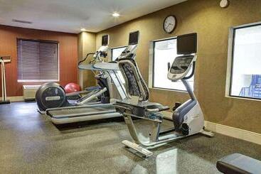 هتل Comfort Inn & Suites Rapid City Near Mt Rushmore