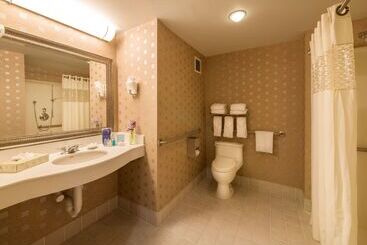 Hotelli Hampton Inn & Suites Boston Crosstown Center