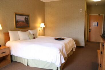 هتل Hampton Inn & Suites Kalamazoooshtemo