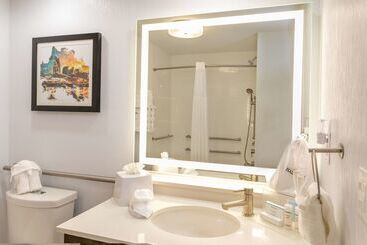Hotel Hampton Inn & Suites Nashvillegreen Hills