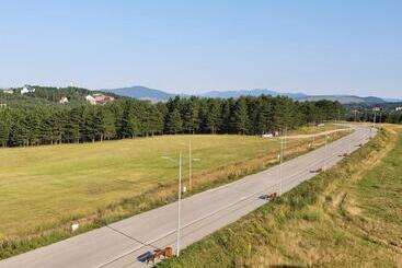 Zlatibor Hills President
