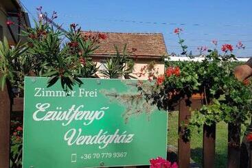 پانسیون Ezüstfenyő Vendégház