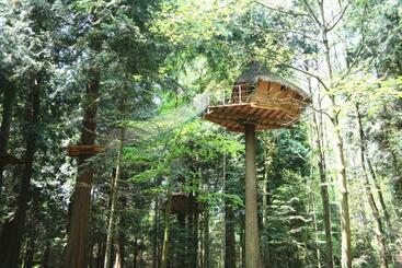 تختخواب و صبحانه Insolite Dans Les Arbres Les Ormes, Epiniac