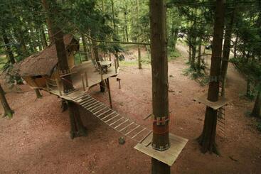 تختخواب و صبحانه Insolite Dans Les Arbres Les Ormes, Epiniac