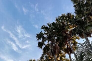 هتل Palm Payom Village Resort