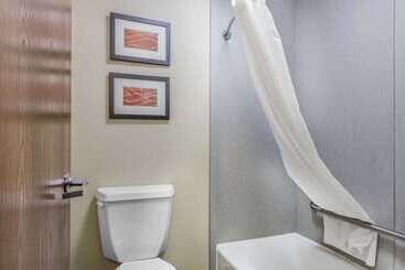 Hotel Comfort Inn & Suites Crystal Inn Sportsplex
