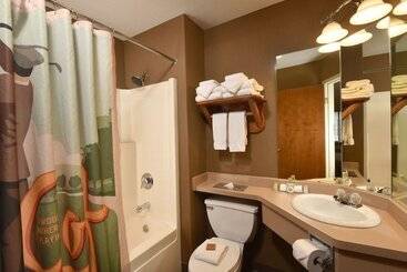 Stoney Creek Hotel La Crosse   Onalaska