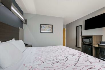Surestay Plus Hotel By Best Western Sevierville