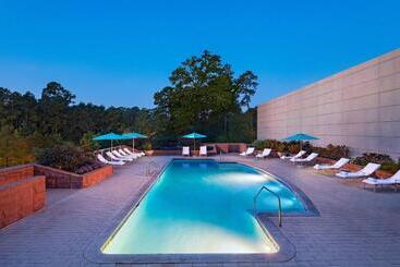 The Woodlands Waterway Marriott Hotel And Convention Center