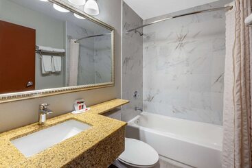 Microtel Inn Suite By Wyndham Bwi Airport