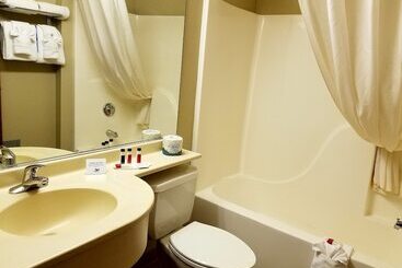 Microtel Inn & Suites By Wyndham Rapid City
