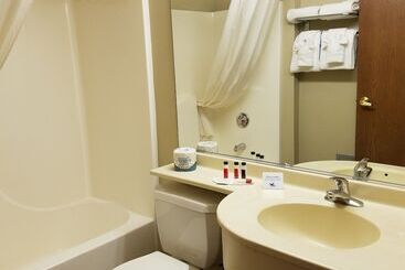 Microtel Inn & Suites By Wyndham Rapid City