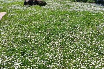 هتل Agriturismo Bio Pian Dei Casali