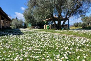 هتل Agriturismo Bio Pian Dei Casali