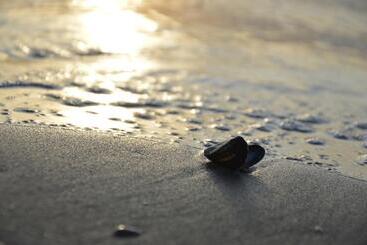 هتل Breeze Ameland