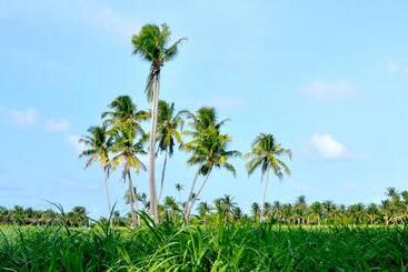 پانسیون Holiday Cottage Thoddoo, Maldives