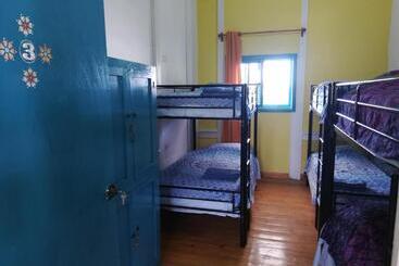 Park Hostel