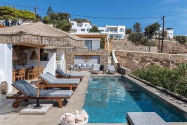 هتل Trinity Mykonos   Beachfront Villa