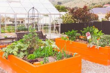 هاستل Oamaru Backpackers