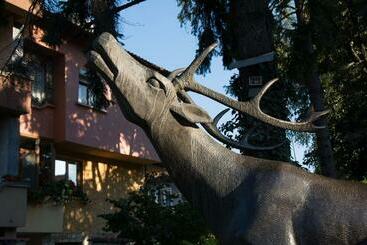 پانسیون Guest House Elena