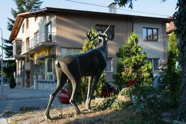پانسیون Guest House Elena