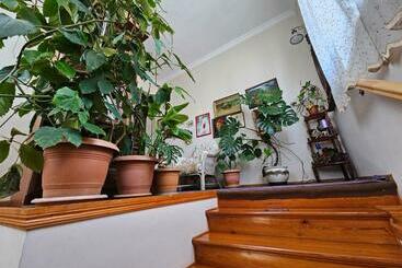 پانسیون Tamari Guest House