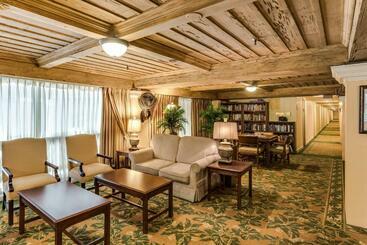 Tropicals Of Palm Beach