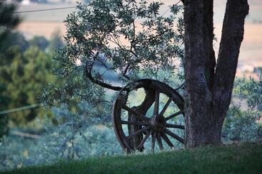 هتل Agriturismo Il Girasole