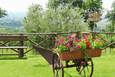 هتل Agriturismo La Rocca Assisi