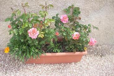 هتل Agriturismo La Rosa Montefalco