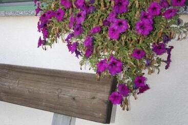 هتل Agriturismo La Valbona