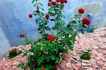 Ararat B&b