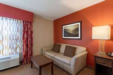 هتل La Quinta By Wyndham Pigeon Forge