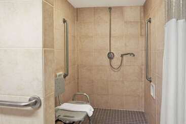 Ramada By Wyndham Saginaw Hotel & Suites