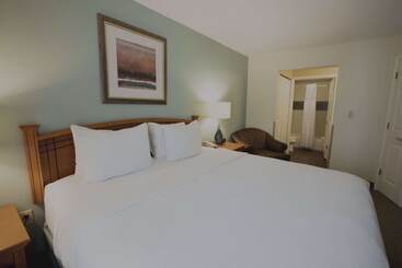 酒店 Sonesta Es Suites Austin The Domain Area