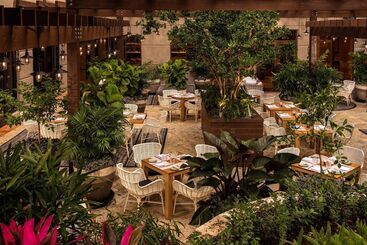 هتل The Ritzcarlton Coconut Grove, Miami