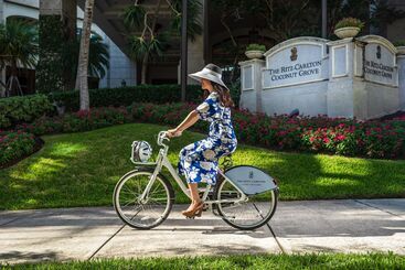 هتل The Ritzcarlton Coconut Grove, Miami