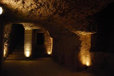 هتل Chateau Des Arpentis