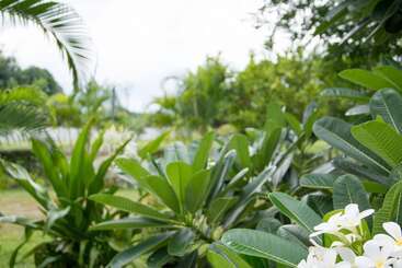 هتل Chum Phae Lagoon Resort