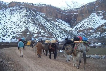 پانسیون Dar Aya Atlas