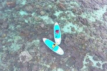 هتل Murex Bangka Dive Resort